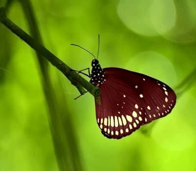 Zee Institute of Creative Art Indore Student Work photo 14